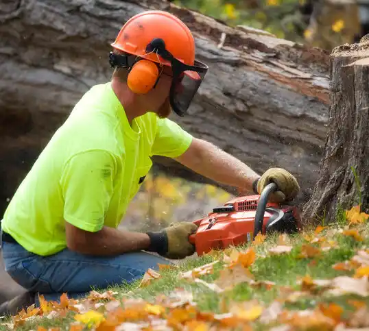 tree services Seward